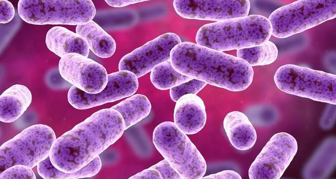 神奇细菌之间也会互相交流并且它们的交流方